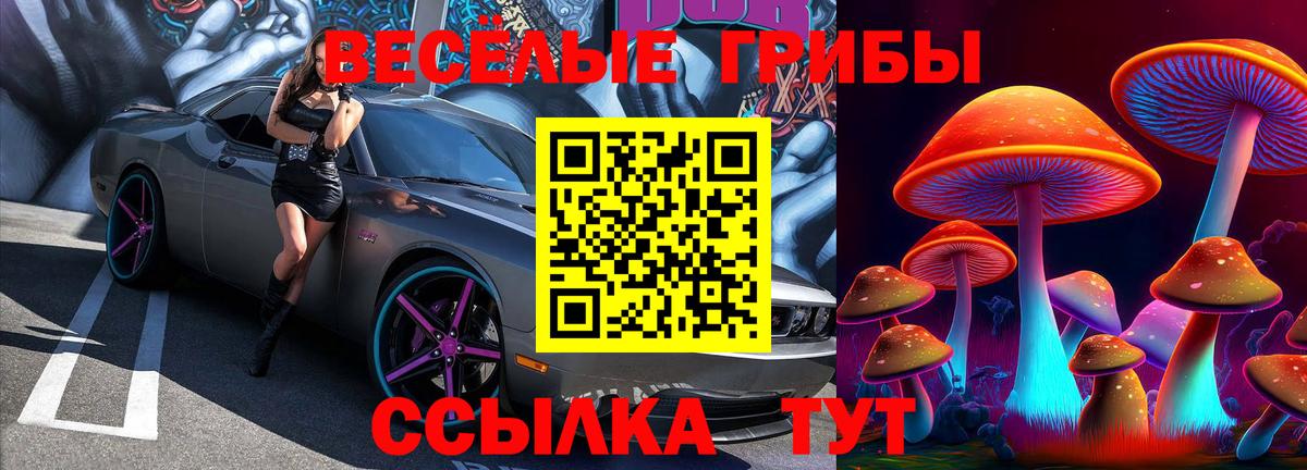 Псилоцибиновые грибы GOLDEN TEACHER Чита